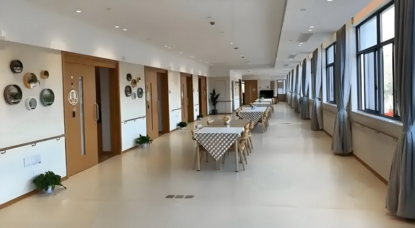 申请深户要什么学历_不会唱歌却开演唱会，58岁的郑伊健消费情怀？ 不会唱歌占了技术人员研发